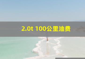 2.0t 100公里油费